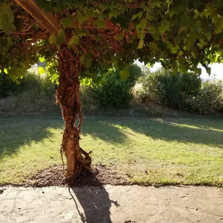 La Casetta Di Dora